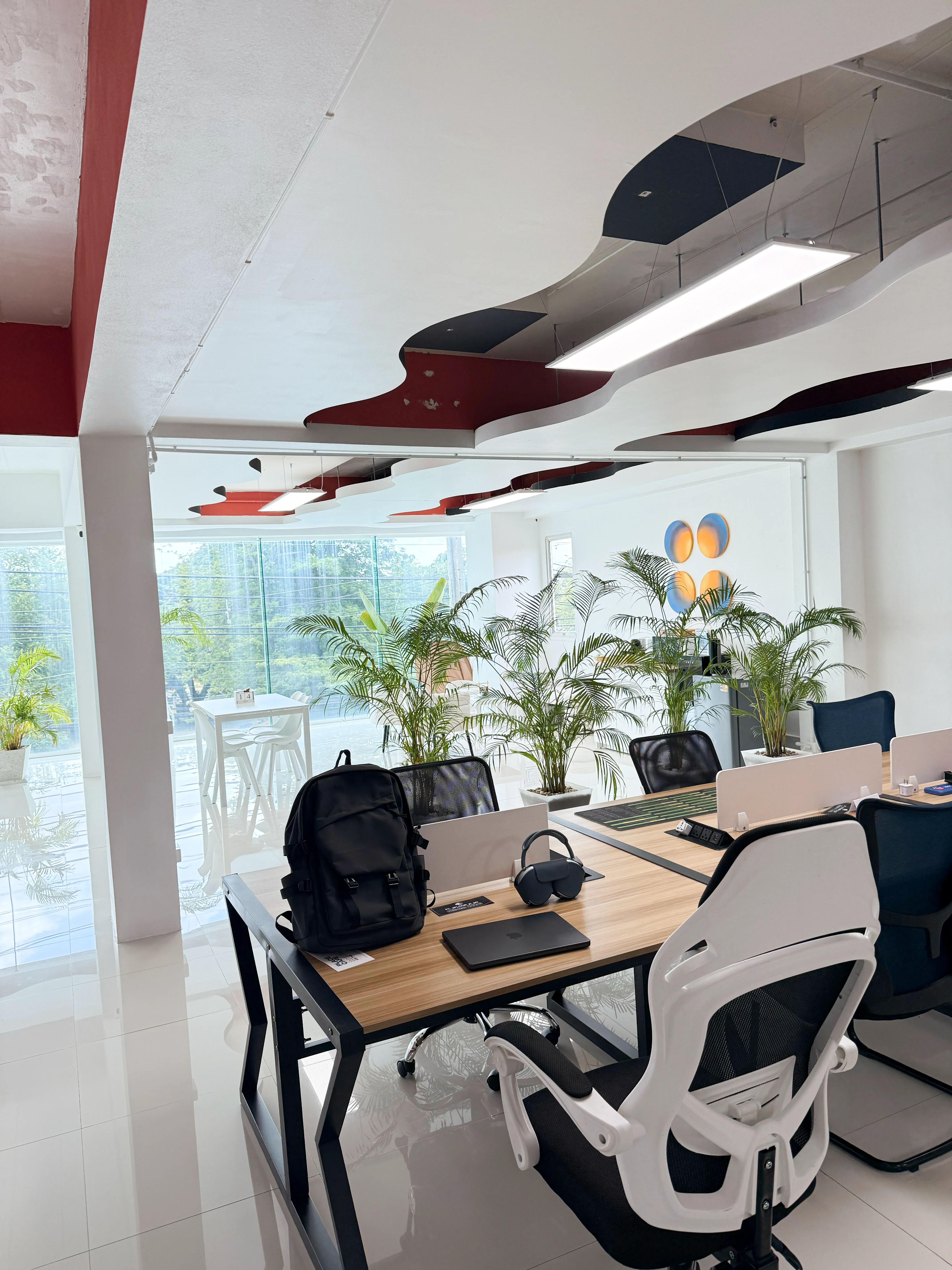 A bright open office with rows of desks and white chairs, plants by the window and a wave-shaped ceiling